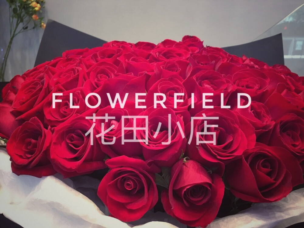 99朵红玫瑰 微信公众号、淘宝：FLOWERFIELD花田小店