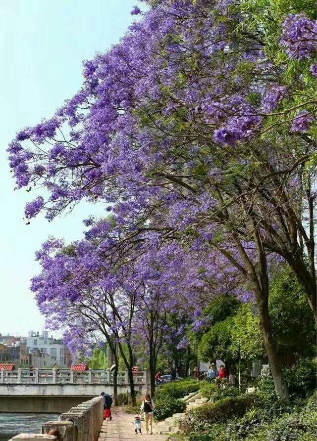 风景