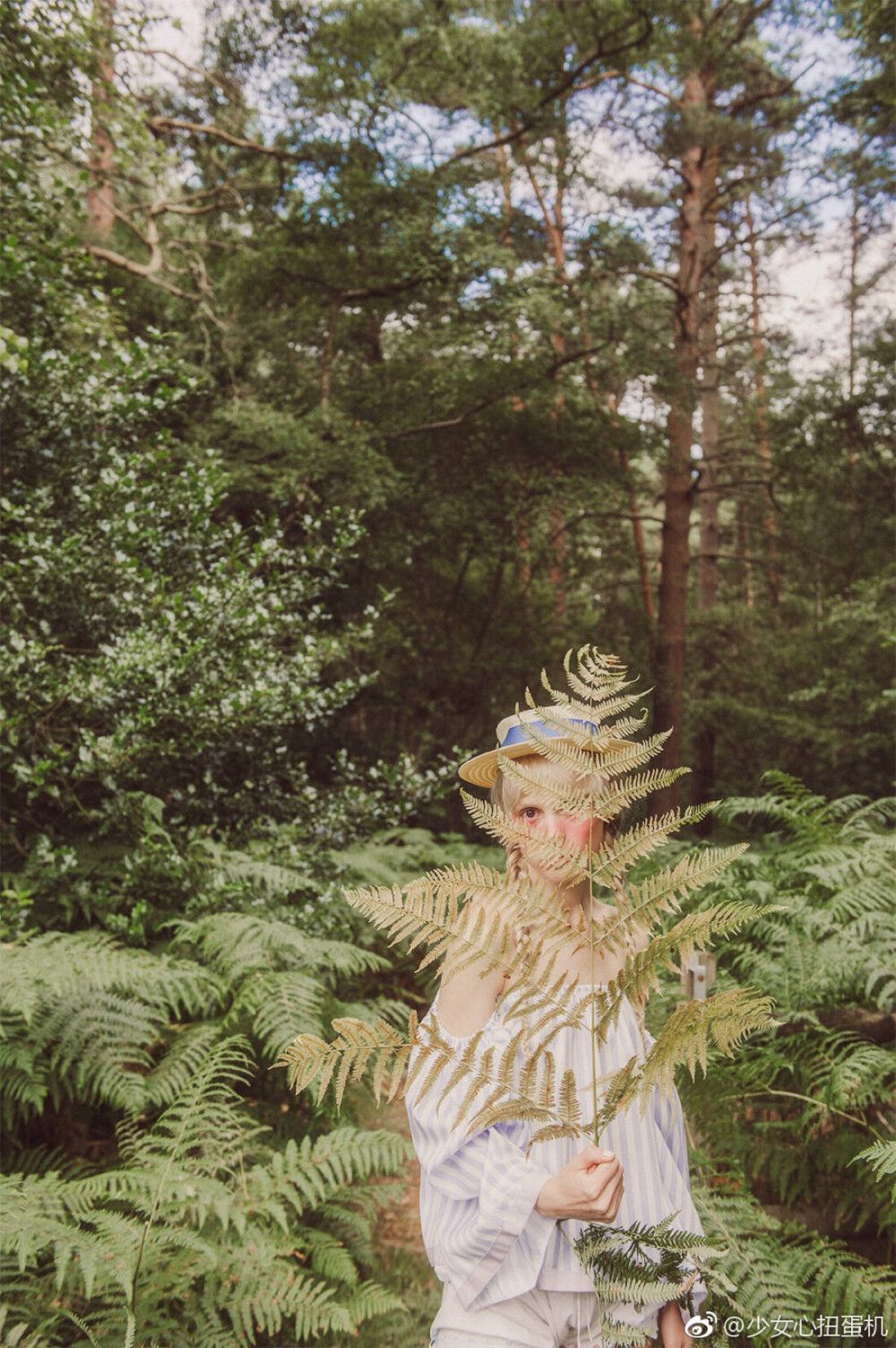 petitemeller