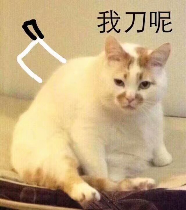 楼楼 嘻嘻嘻