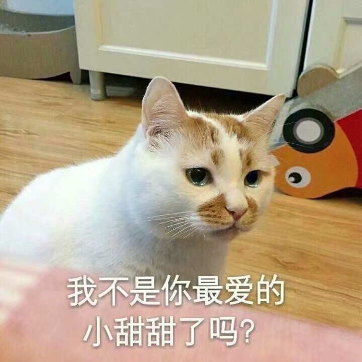 樓樓