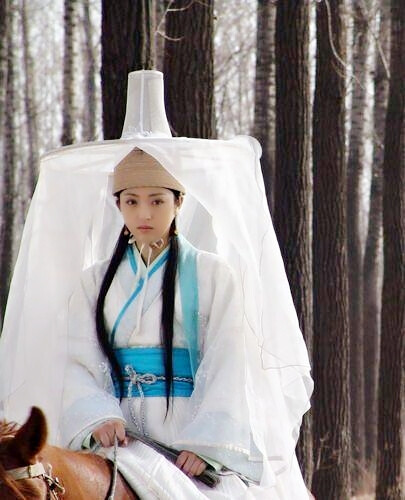 《君子好逑》董璇
2005播出的古装情感喜剧，由郑国霖（饰演铁中玉），董璇（饰演水冰心），赵鸿飞（饰演沙武），涂黎曼（饰演韦环）主演