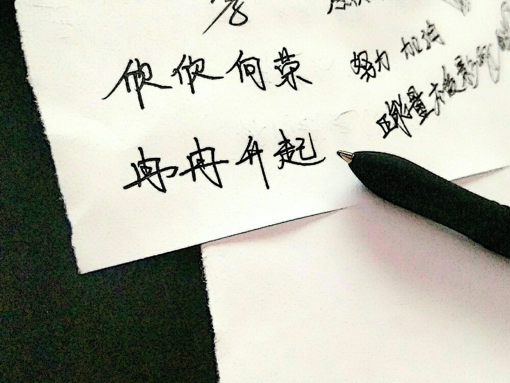 欣欣向荣 冉冉升起 - 高清图片，堆糖，美图壁纸兴趣社区