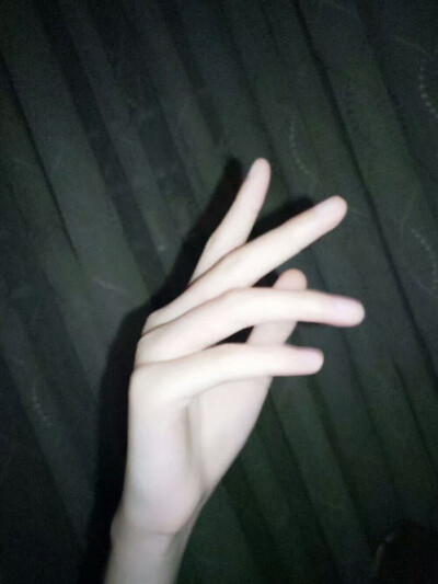 一只灯光下的爪子