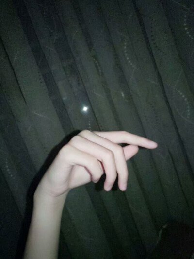 闪光灯下的爪子