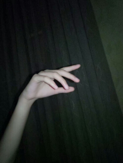 闪光灯下一只白嫩的爪子(:3_ヽ)_