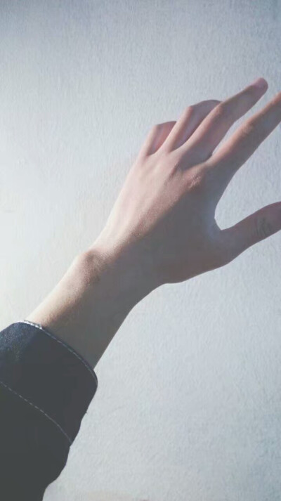 灰色背景的爪子_(:D)∠)_