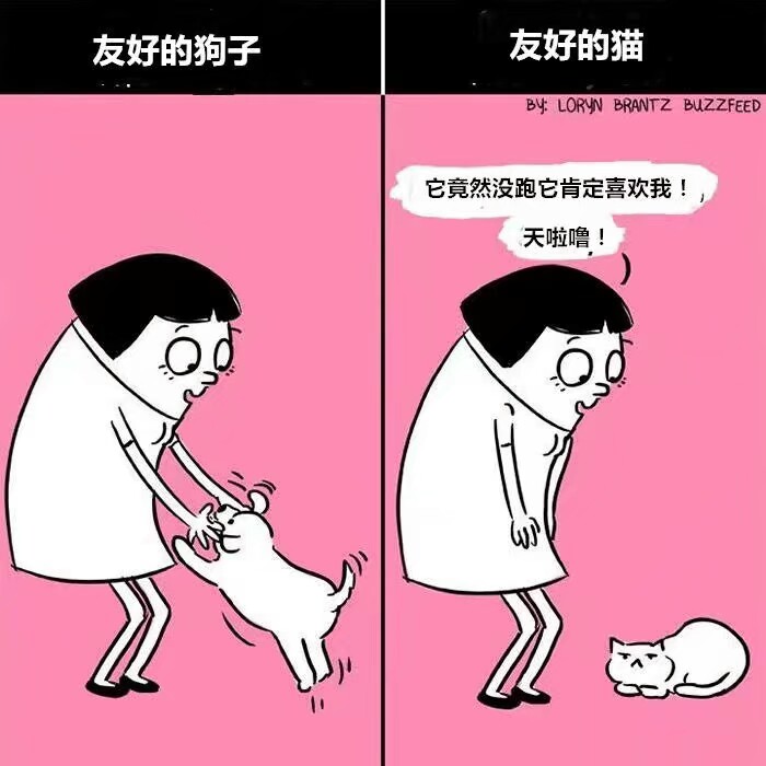 猫跟狗的区别