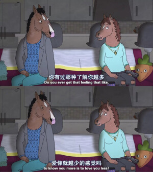 你有过那种了解你越多爱你就越少的感觉吗？ ---《马男波杰克第四季》