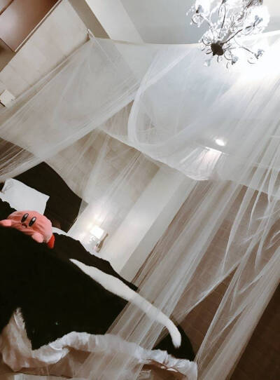 天使的豪华大床(ಡωಡ) 