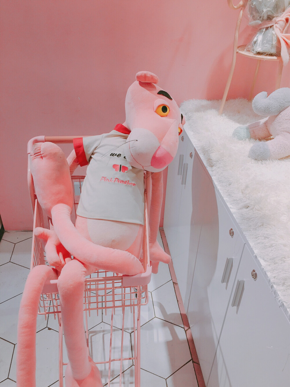 壁纸 粉红豹 自己拍摄