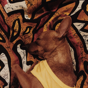 好壮哈哈哈( ͡° ͜ʖ ͡°)✧