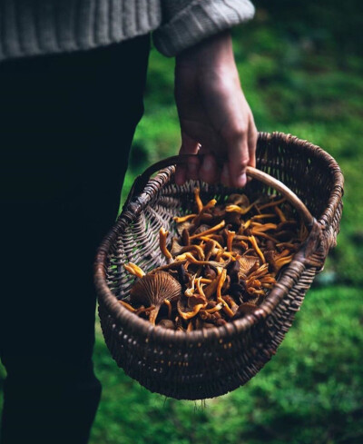 来自瑞典的烘焙师Linda Lomelino热爱鲜花与甜点，并把她的痴迷变成了事业。在她的精心制作下，鲜花与甜点结合，犹如诗画一般美。