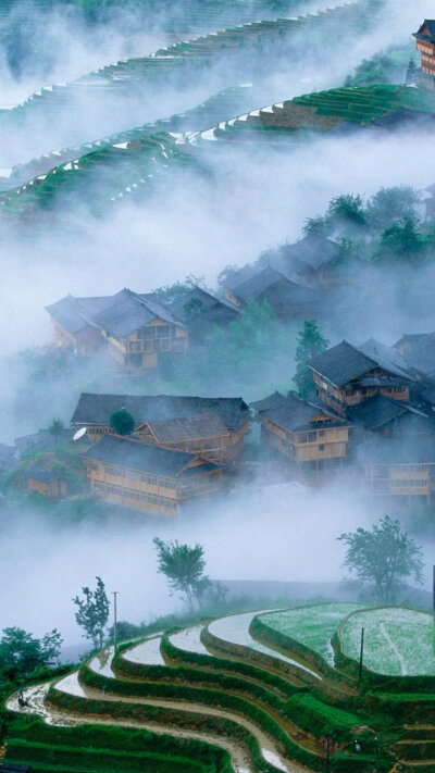 唯美 小清新 治愈 大气磅礴 摄影 植物 封面 风景 (｡･ω･)ﾉﾞ 带走