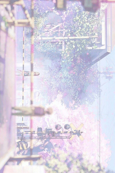 樱花 背景