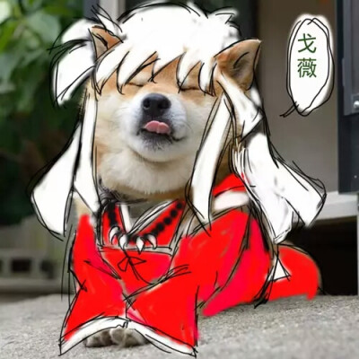 犬夜叉