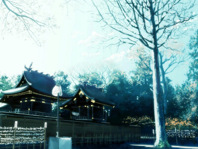 二次元壁纸 突然想到长灯古佛这个词?