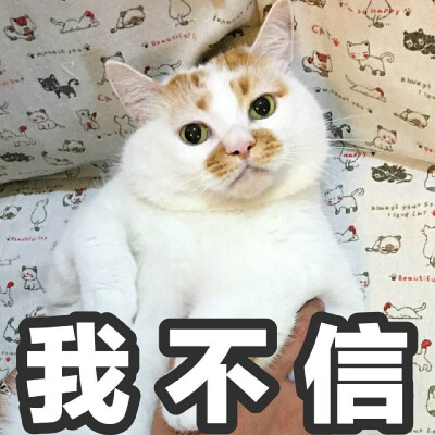 我不信