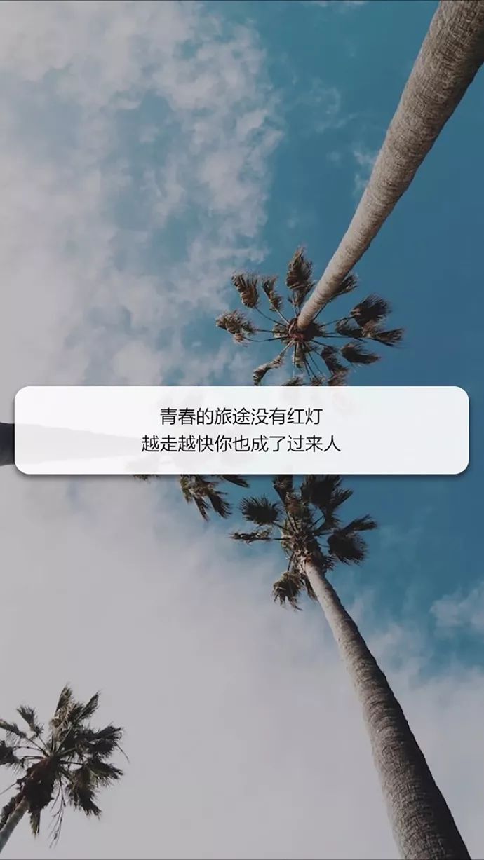 青春的旅途没有红灯
越走越快
你也成了过来人