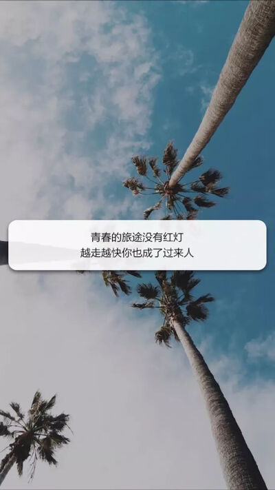 青春的旅途没有红灯
越走越快
你也成了过来人