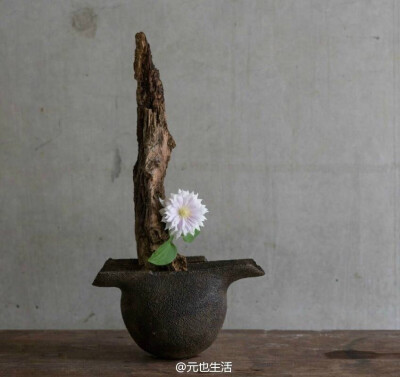 物尽其用，自在物华；明心净气，心有莲台。（陶作：西川 聡，花艺：上野雄次） ​