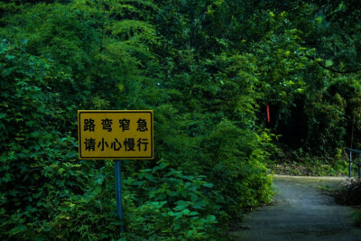 山里居