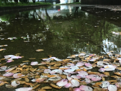 流水落花春去也