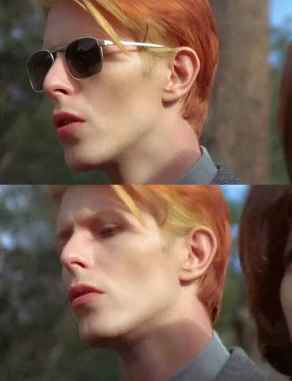 David Bowie