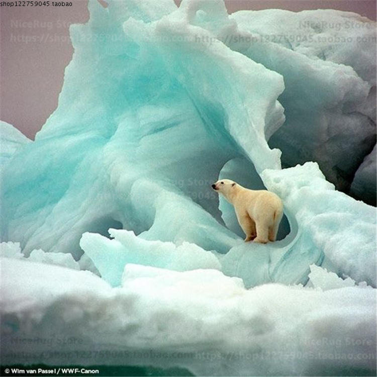 超可爱北极熊地毯熊猫浣熊地垫黑白熊动物儿童教育卡通卧室幼儿园