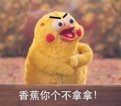 你好，我是不拿拿