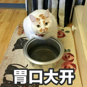 楼