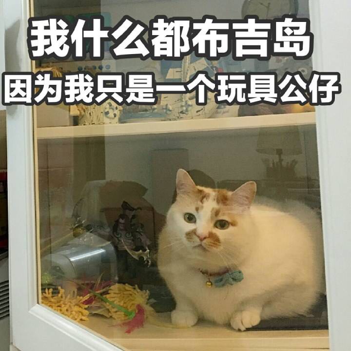 楼