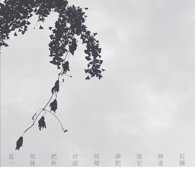 原创摄影➕文字
今儿墨水喝的足足哒