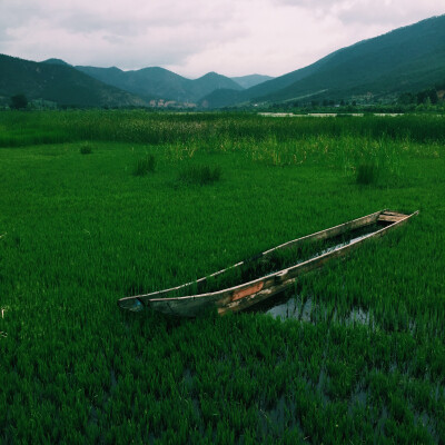 泸沽湖