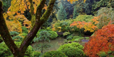 波特蘭日本花園