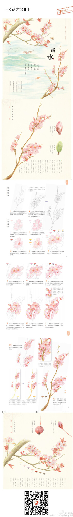 彩铅教程
