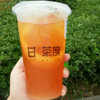 敬你一杯茶