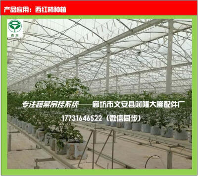 蔬菜吊秧挂钩是由Ø3mm热镀锌钢丝制成M型挂钩和适当蔬菜专用吊挂绳或尼龙绳组成。
用途：用于各类藤蔓蔬菜植物的吊挂，如：西红柿、黄瓜、豆角、茄子、丝瓜、西葫芦、甜瓜、西瓜等。
