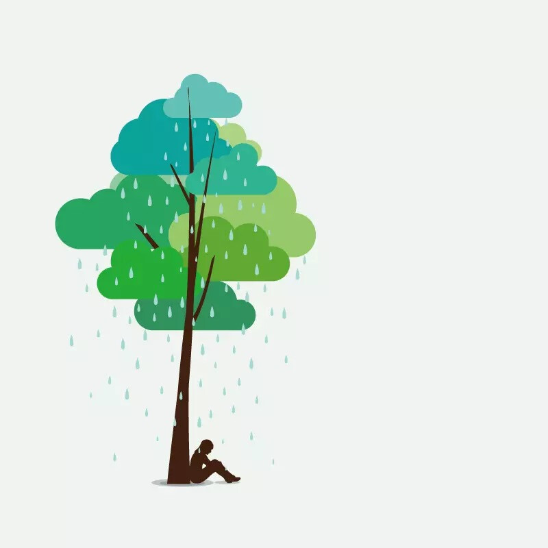 树下的雨