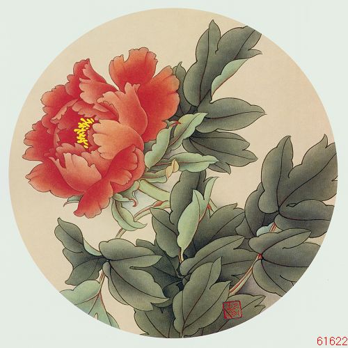 牡丹