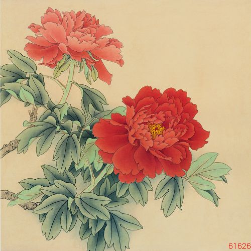 牡丹