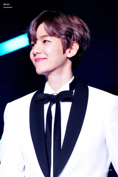 EXO Baekhyun 边伯贤 美颜盛世边伯贤 crlogo