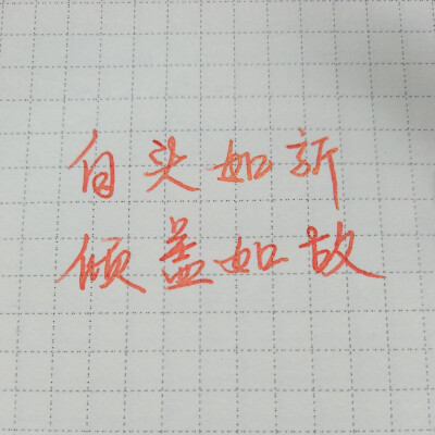 手写字句，DAY4，一句愿景。金粉彩墨。