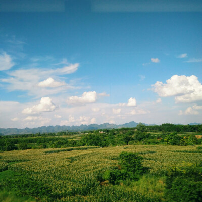 窗外的风景