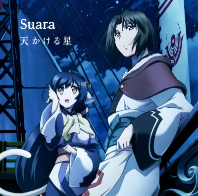 传颂之物虚伪的假面
【专辑名】天かける星
【歌】Suara
【发售日】2016年1月27日
【品番】初回限定盘：KICM-93314、通常盘：KICM-3314
【收录曲目】
1.天かける星
2.星降る空仰ぎ见て
3.悲しみの夜明け前
【初回限定…