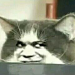 麻烦点个赞
谢谢
✨