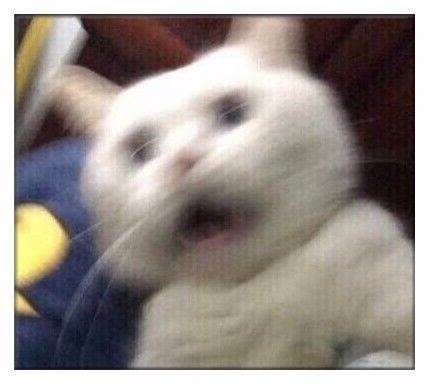 麻烦点个赞
谢谢
✨