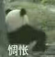 麻烦点个赞
谢谢
✨