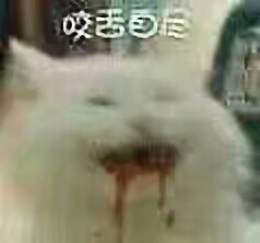 麻烦点个赞
谢谢
✨