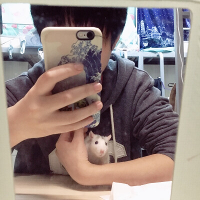 咦.我是谁我在哪.